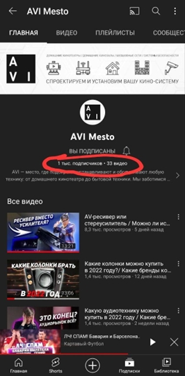 6 лидов в ЧАС в нише «Строительство домашних кинозалов» или «Как мы шведов заставили смотреть русский Ютуб» (long version), изображение №10