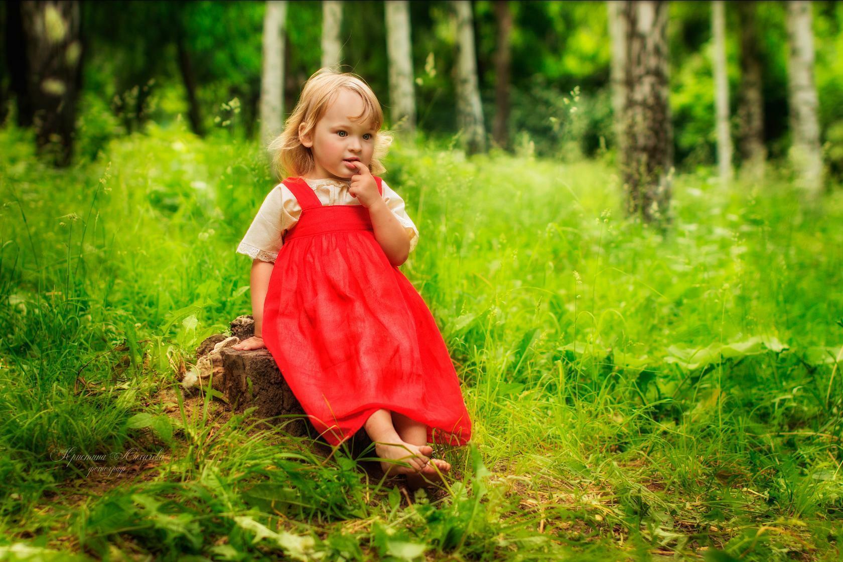 необычные животные в природе. природа близко. любопытный от природы. ближе к природе. любопытный от природы.