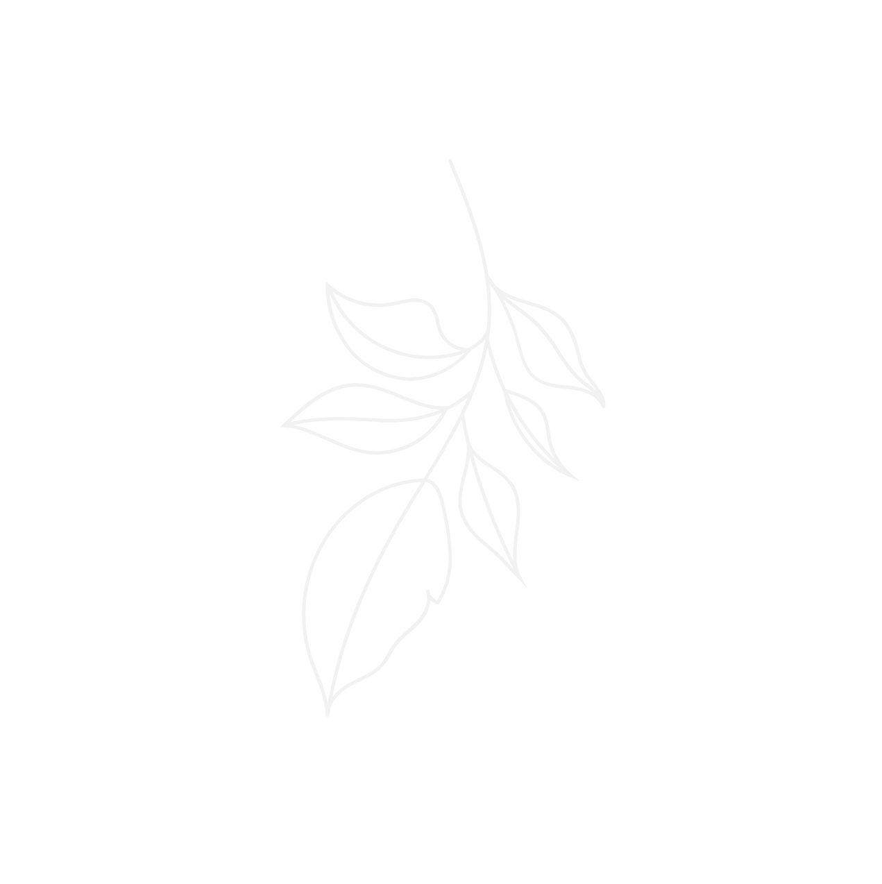 Салон красоты и спа Green Spa в Нижнем Новгороде