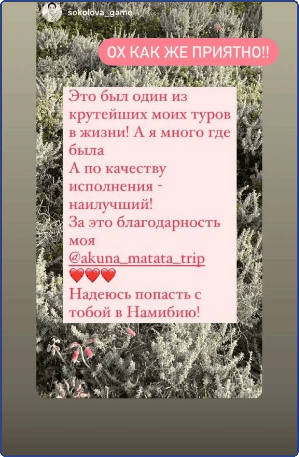 Отзыв от туриста - Тур в ЮАР с вылетом из Москвы и других городов