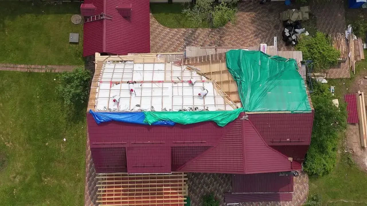 Video 5