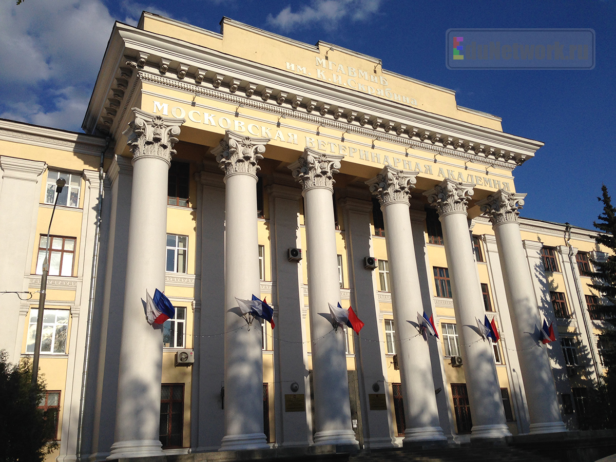 Московской академии биотехнологии. Московская Академия Скрябина. Московская Академия ветеринарии и биотехнологии имени к и Скрябина. МГАВМИБ Скрябина.