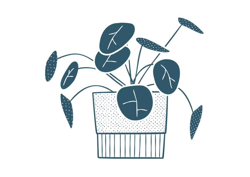 Degrees of Comparison of Adjectives