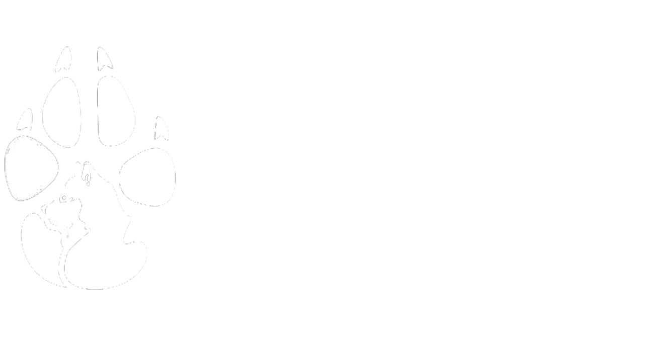 догтрекинг с хаски что это