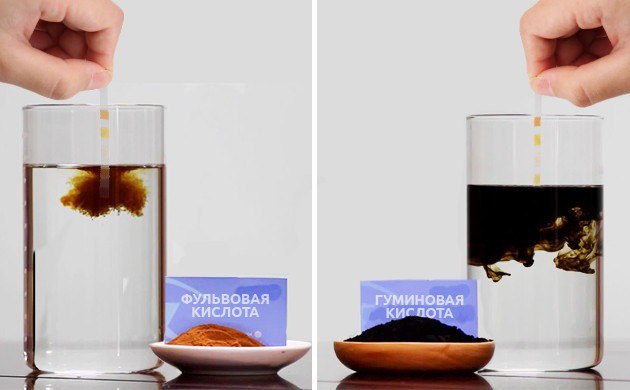 Применение гуминовых и фульвовых кислот при выращивании растений
