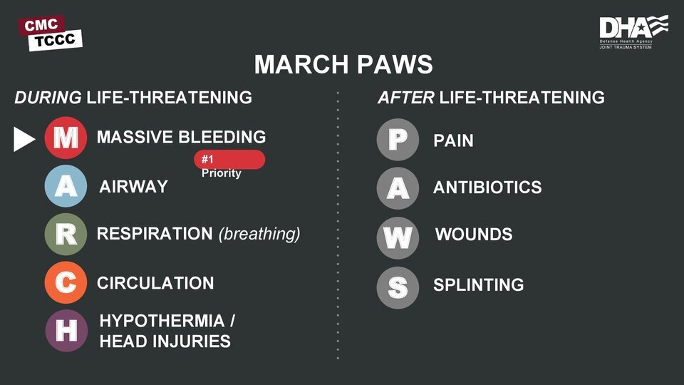 Протокол и алгоритм MARCH PAWS первой помощи в тактической медицине