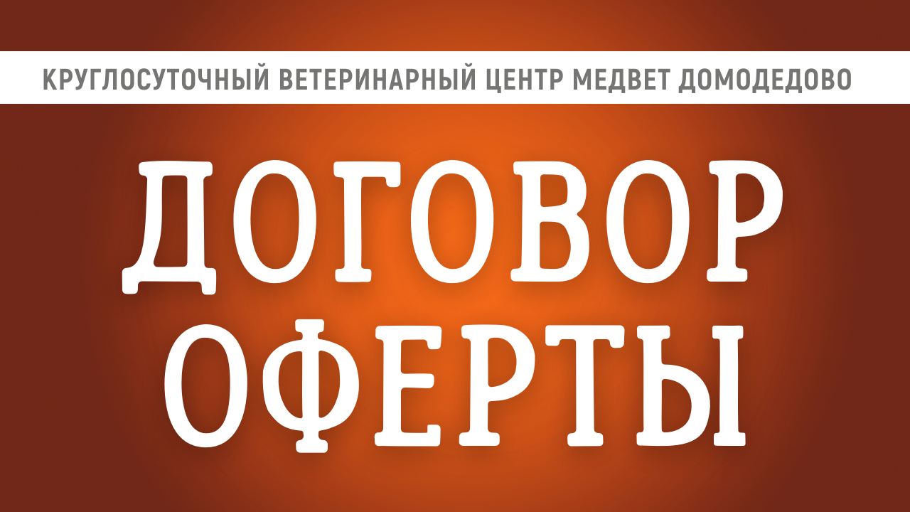 Договор оферты ВЦ МЕДВЕТ Домодедово