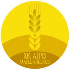 website icon