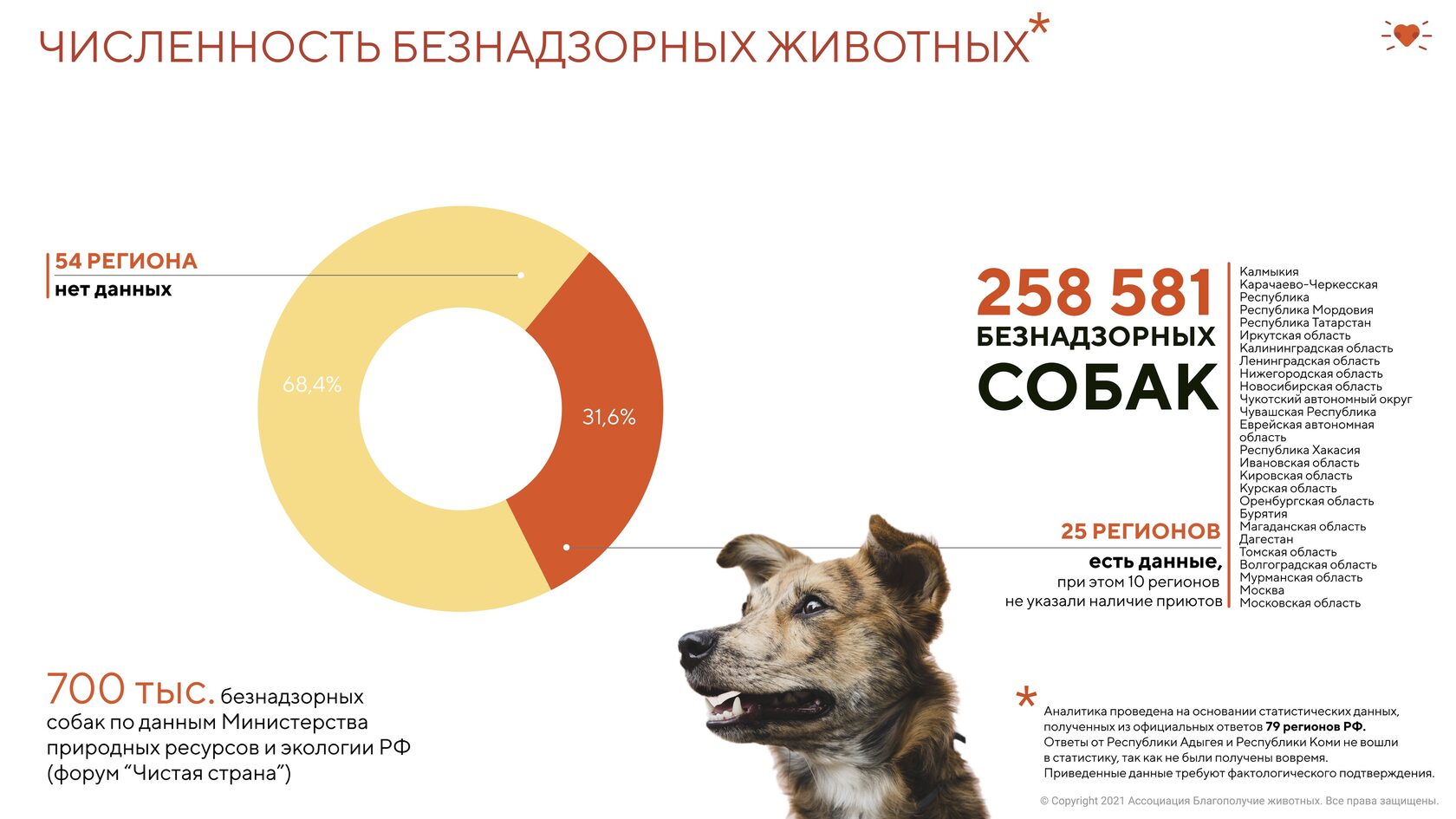 Статистика мониторинга численности безнадзорных животных