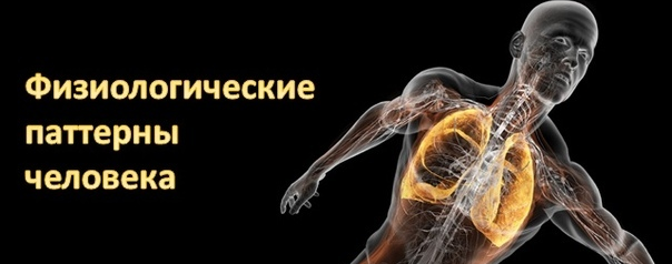 дом научной коллаборации что это. Смотреть фото дом научной коллаборации что это. Смотреть картинку дом научной коллаборации что это. Картинка про дом научной коллаборации что это. Фото дом научной коллаборации что это