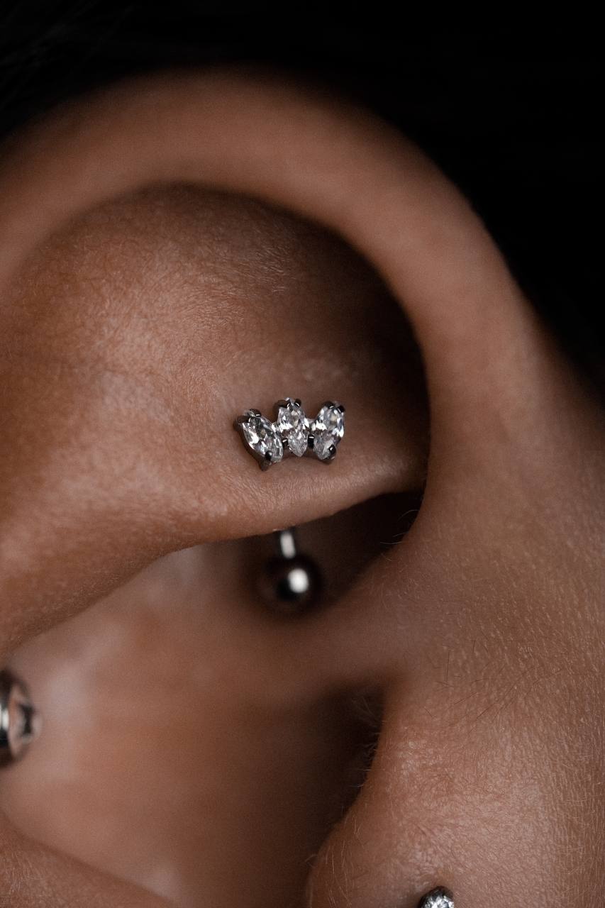 Пирсинг Руук крупным планом