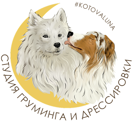 Kotova Luna
