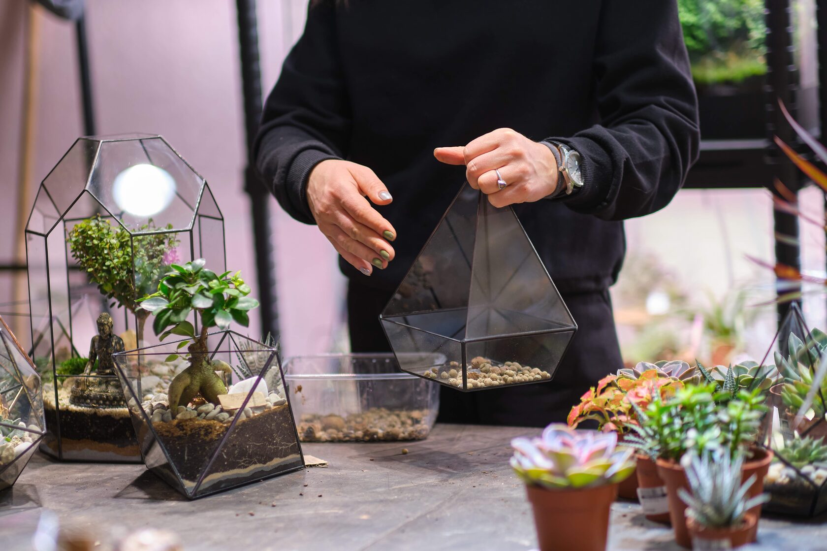 Rostlinné terárium Green Stories jako interiérová dekorace