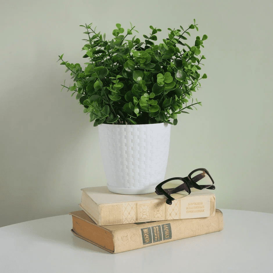 Фотосъемка товара на Озон. Цветочные горшочки.