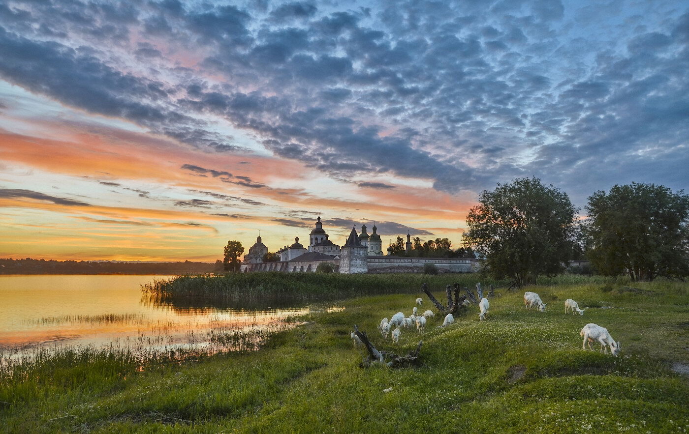 Новгородская область