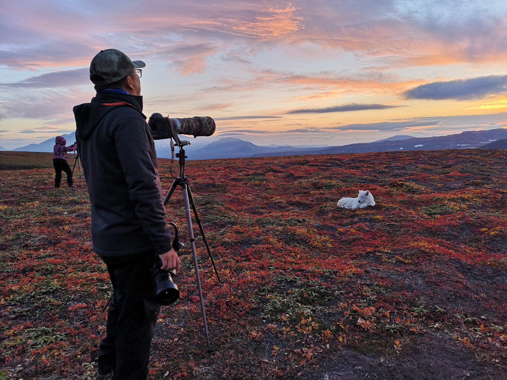 Фотограф в осенней тундре на закате