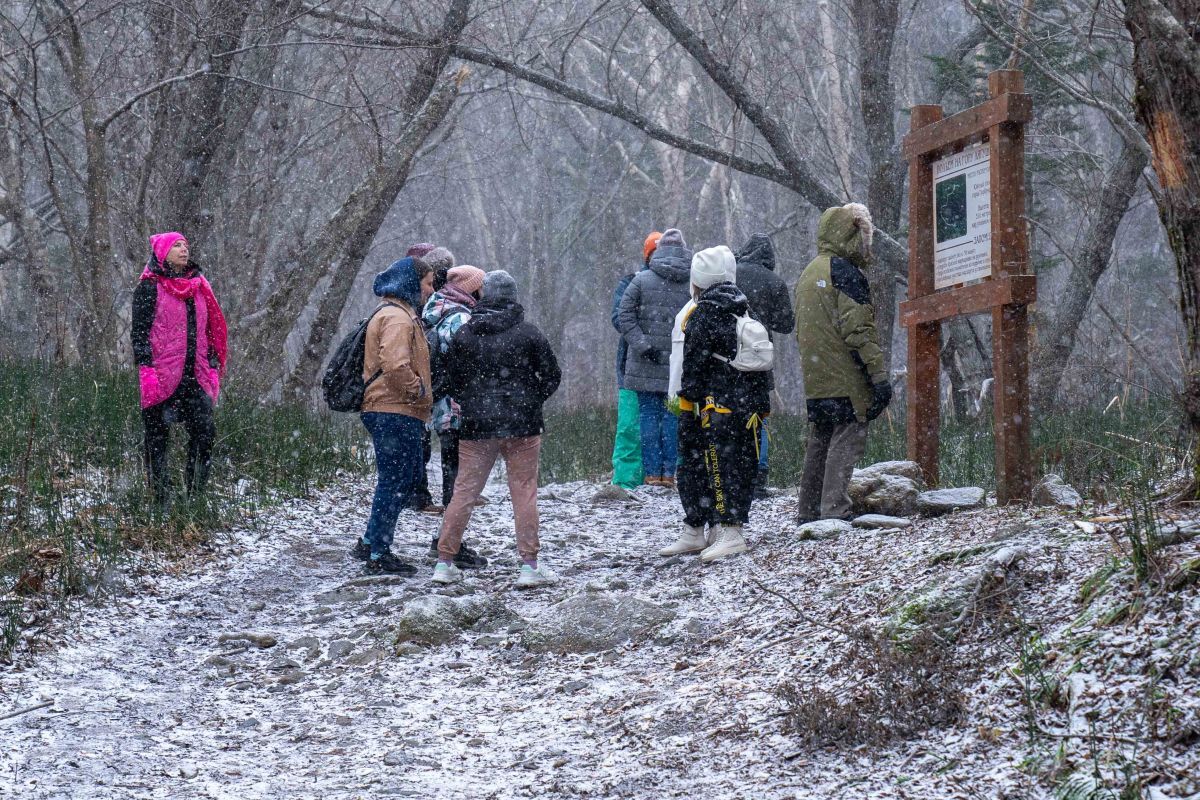 Семья гуляет по экотропе в национальном парке зимой