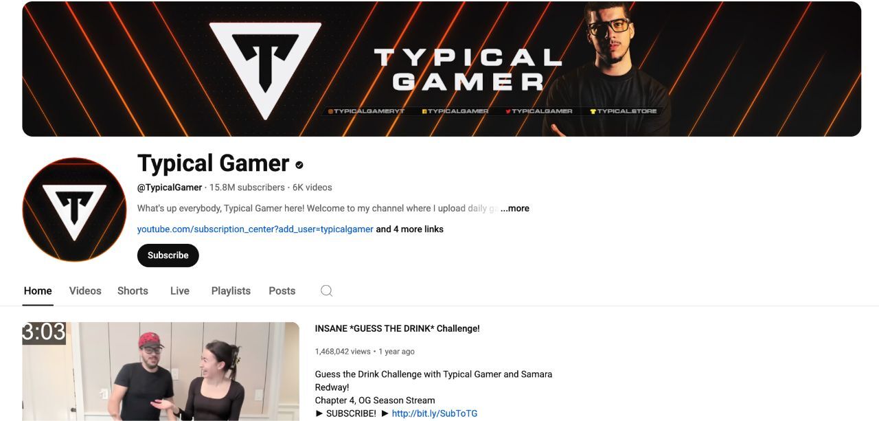 Typical Gamer