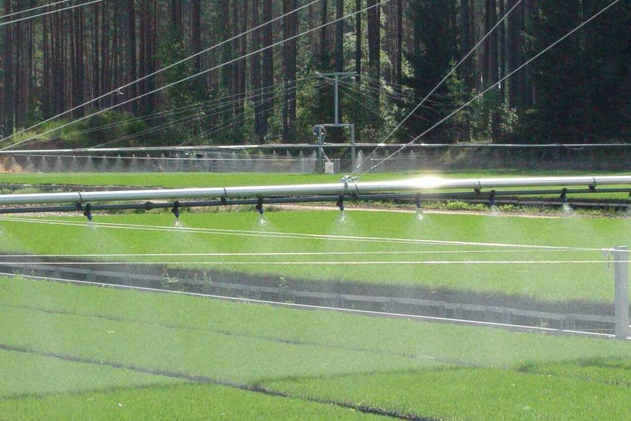 гидропоника