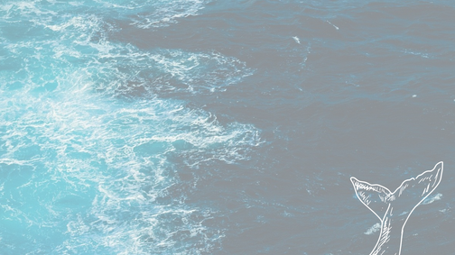 Эксперт СМ - бухгалтерские и юридические услуги. Работайте с ...