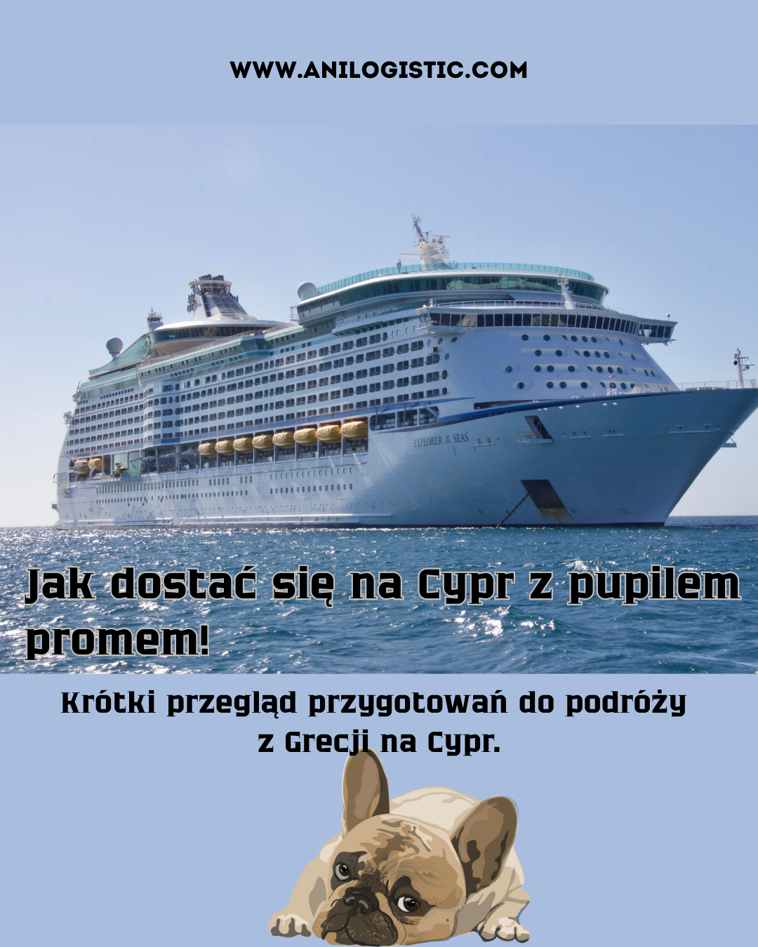 Podróż promem z psem lub kotem z Grecji na Cypr – warunki i ceny