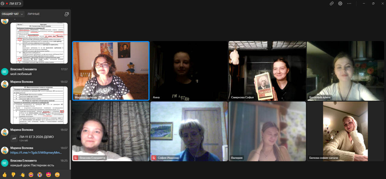 Group online lesson with chat and participants