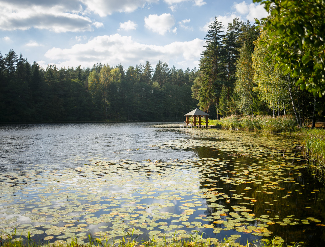 Поиск беларуси