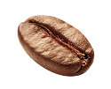 Кофейное зерно