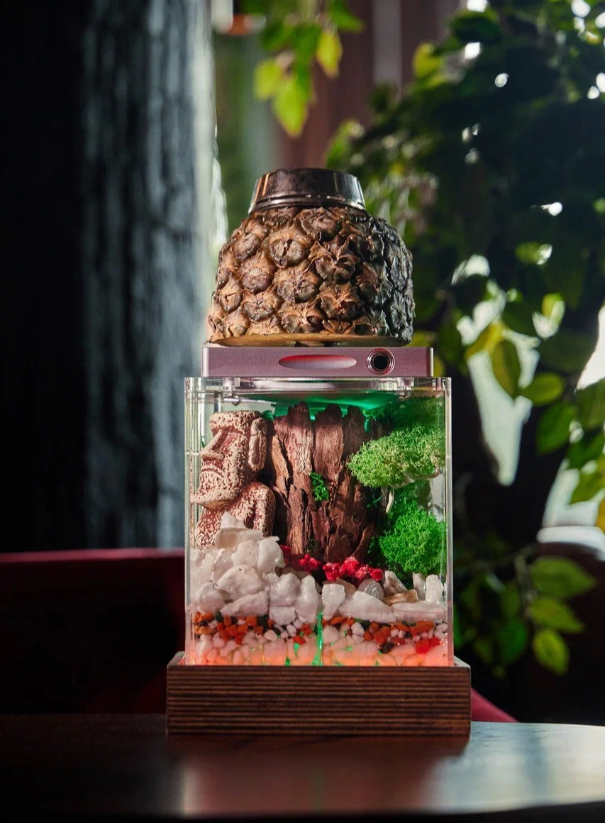 Специальное меню1905