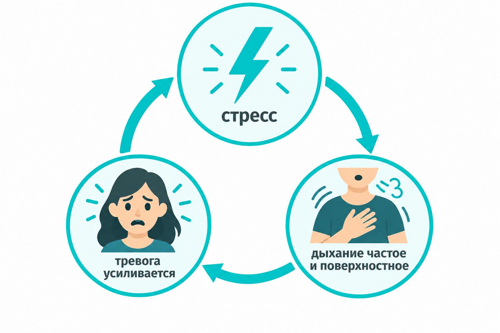 Замкнутый круг стресса: стресс учащает дыхание, поверхностное дыхание усиливает тревогу