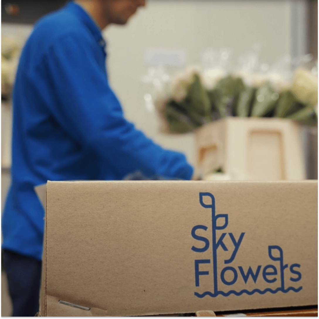 Плантация Sky Flowers из Колумбии: обзор производителя цветов