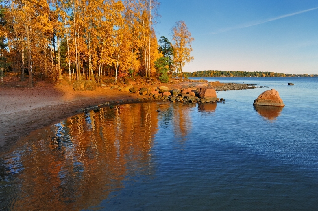 Финский залив Зеленогорск осень