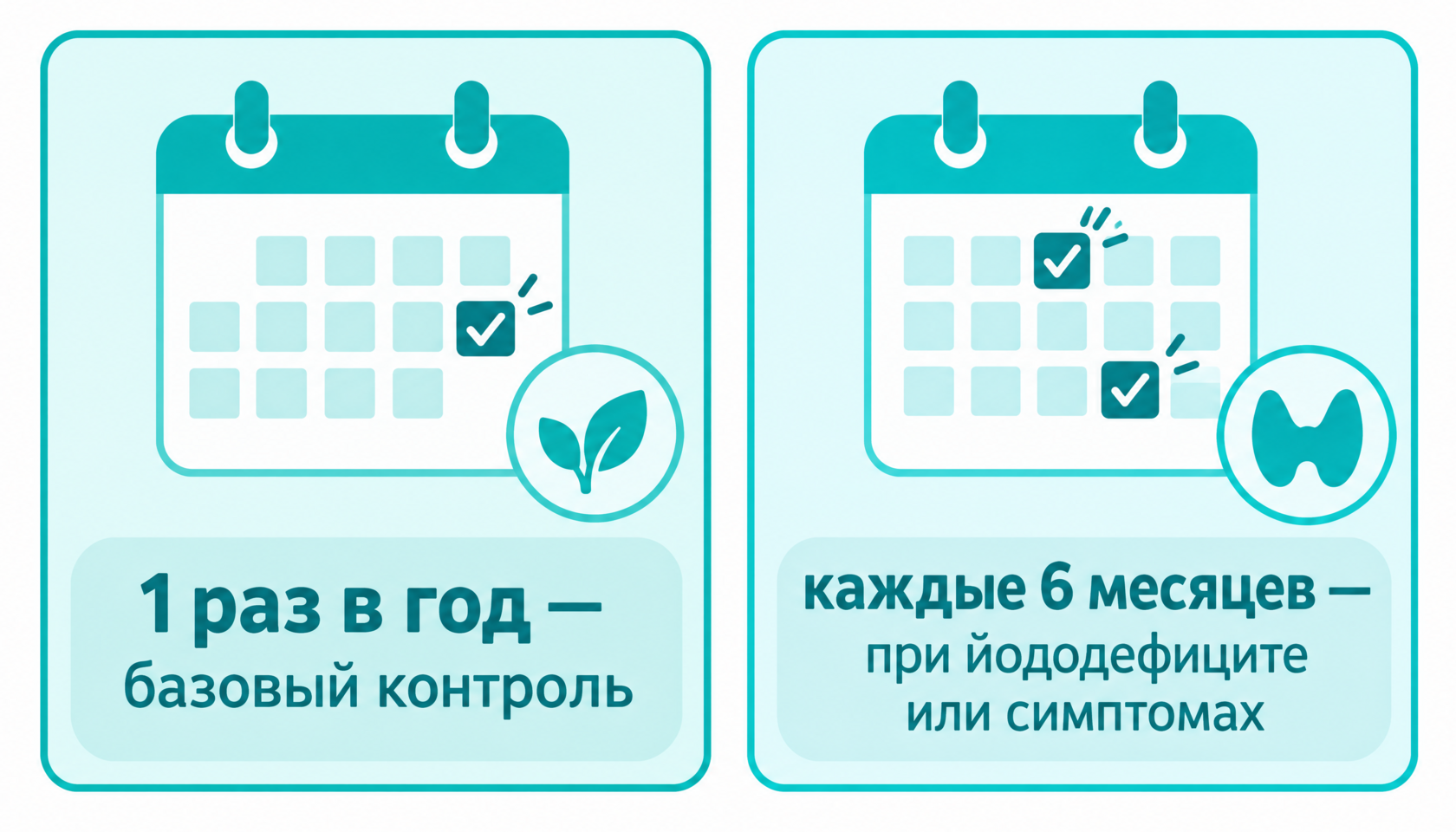 Как часто проверять щитовидную железу: раз в год базово, раз в 6 месяцев при йододефиците
