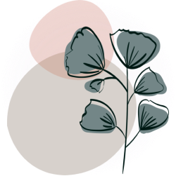 eidos иконка обоснованные решения