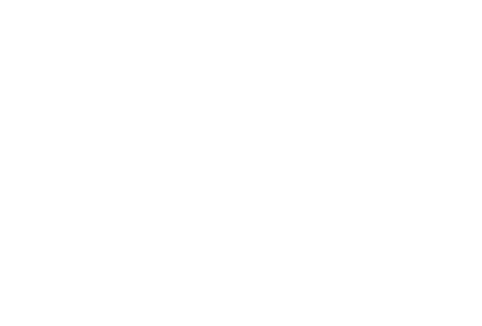 Завод ВДМ «Пигмент»