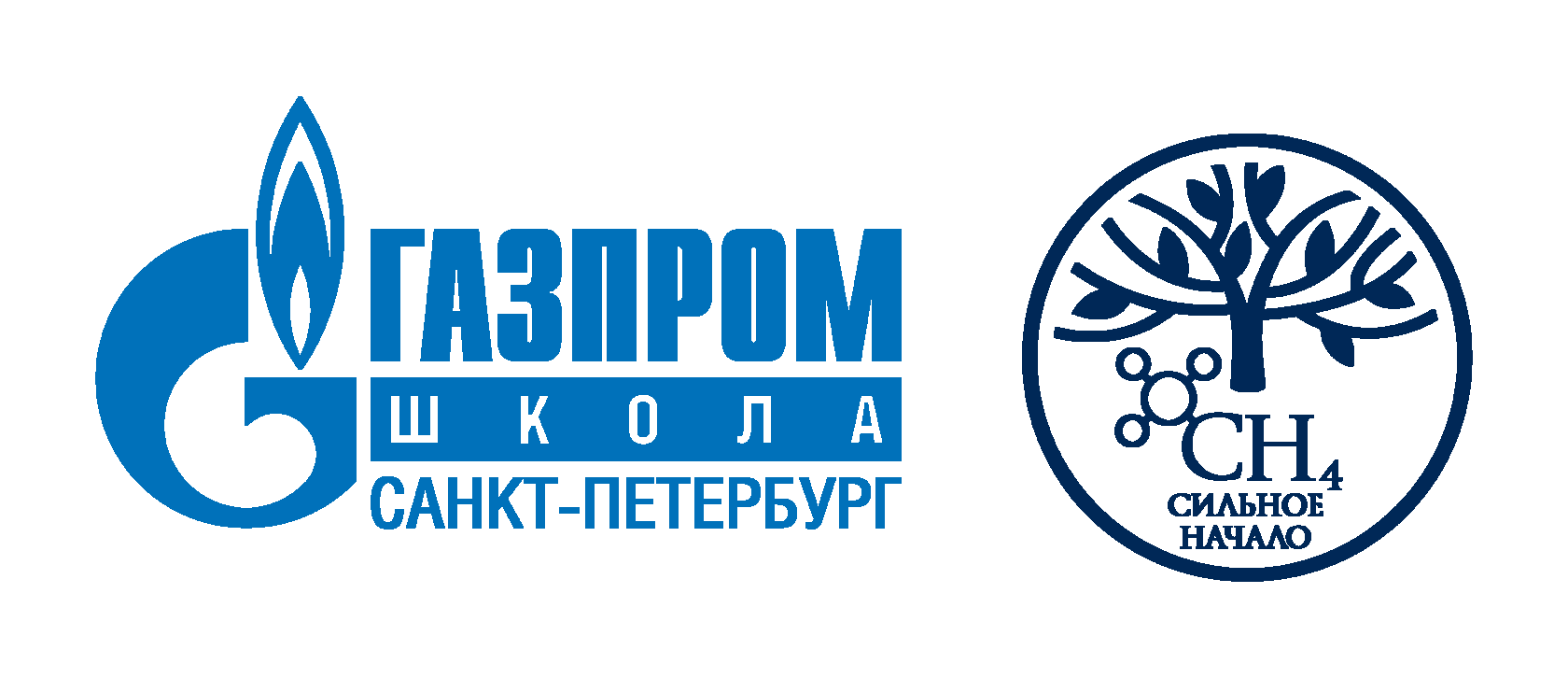 Частное общеобразовательное учреждение «Газпром школа Санкт-Петербург»
