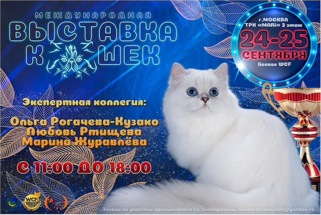 Выставка 24 ноября