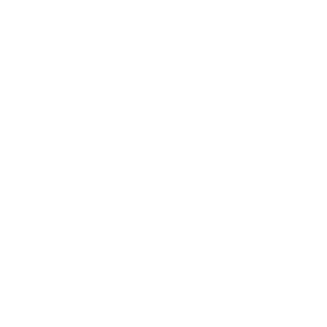 website icon