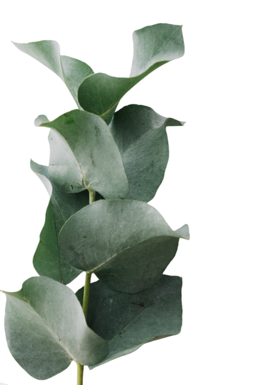 витамины БАДы нутрициолог консультация