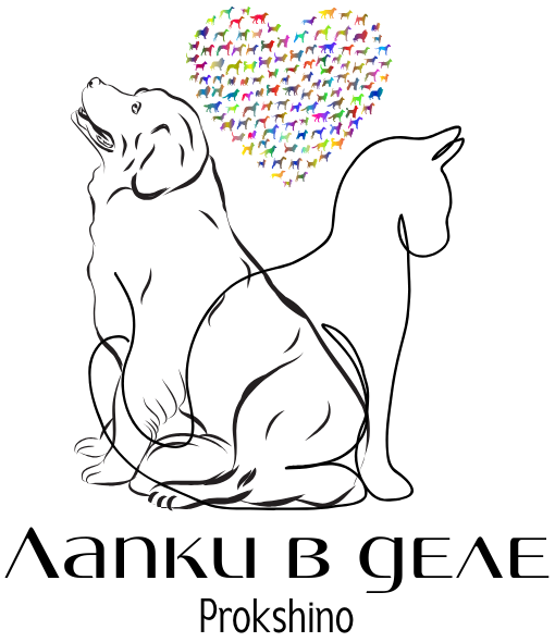 Лапки в деле