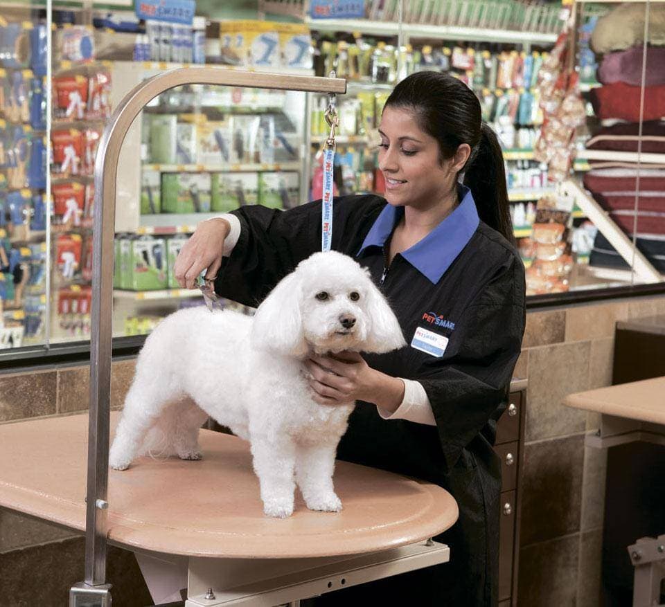 детский центр телефон; детский центр ул; первый детский центр; сайт детского центра; центр детского образования