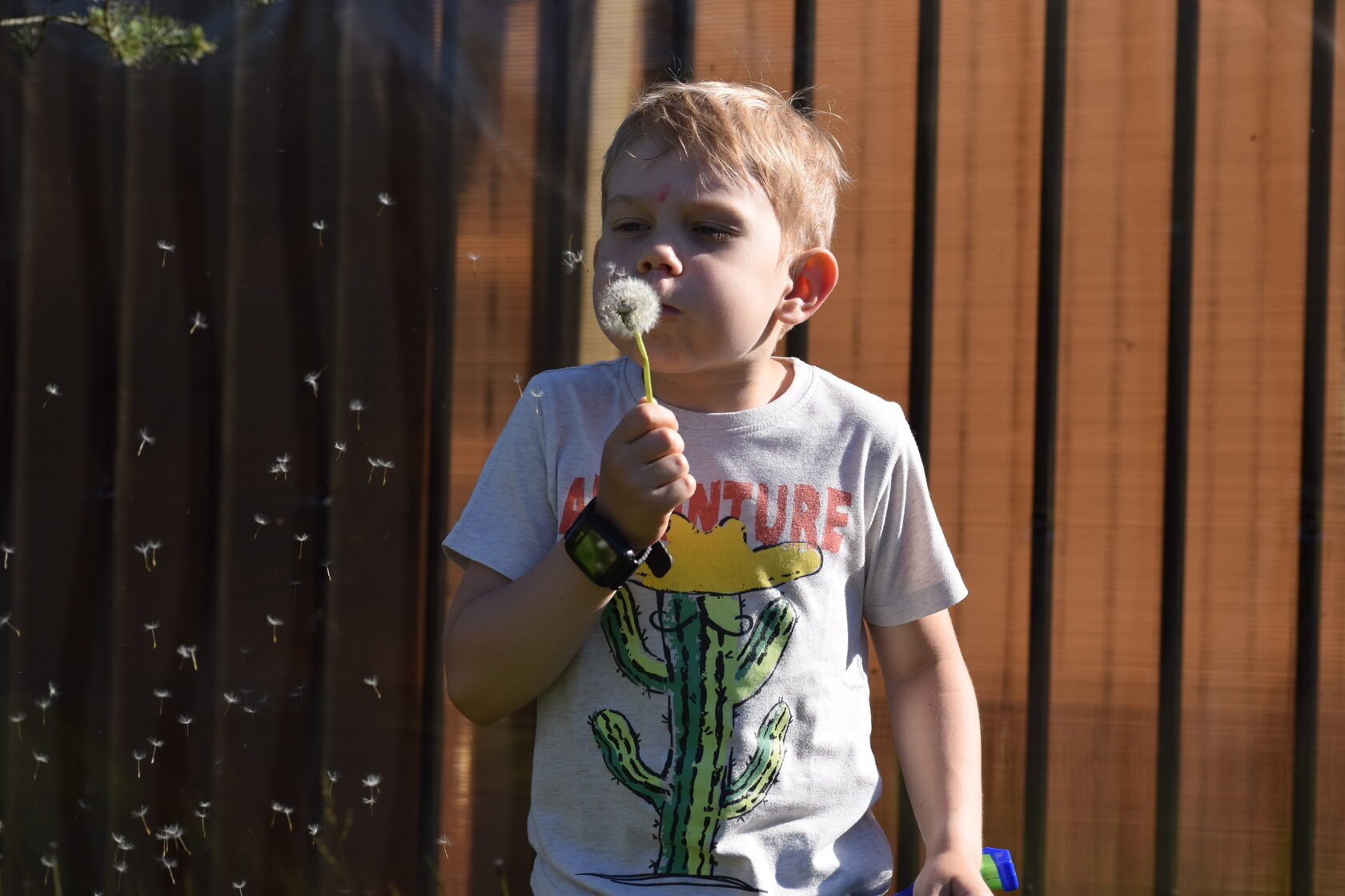 Аэровальс дмитров. Амакс курорт новая истра. Новоиерусалимский монастырь истра экскурсии. Куда сходить в истре с ребенком. Истра - воскресенск).