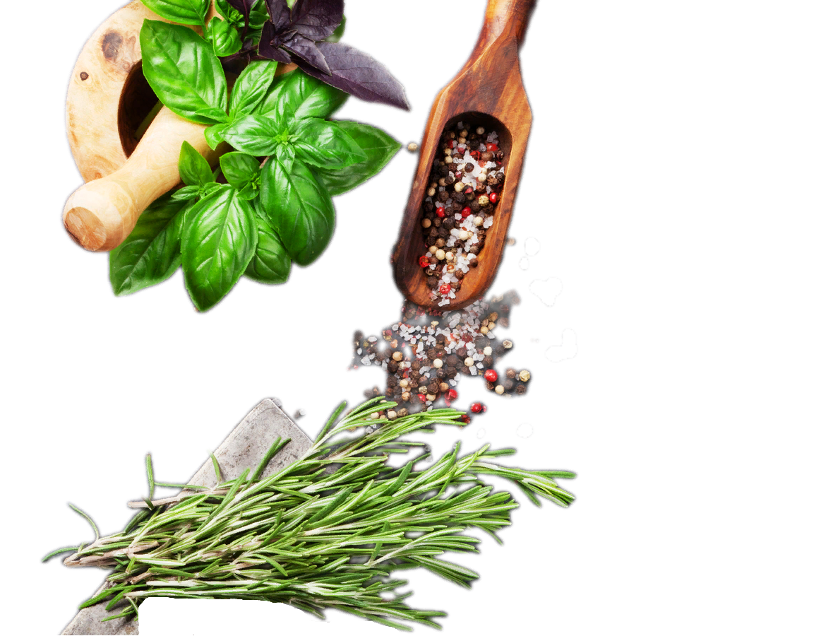 Шаверма с доставкой по Сестрорецку