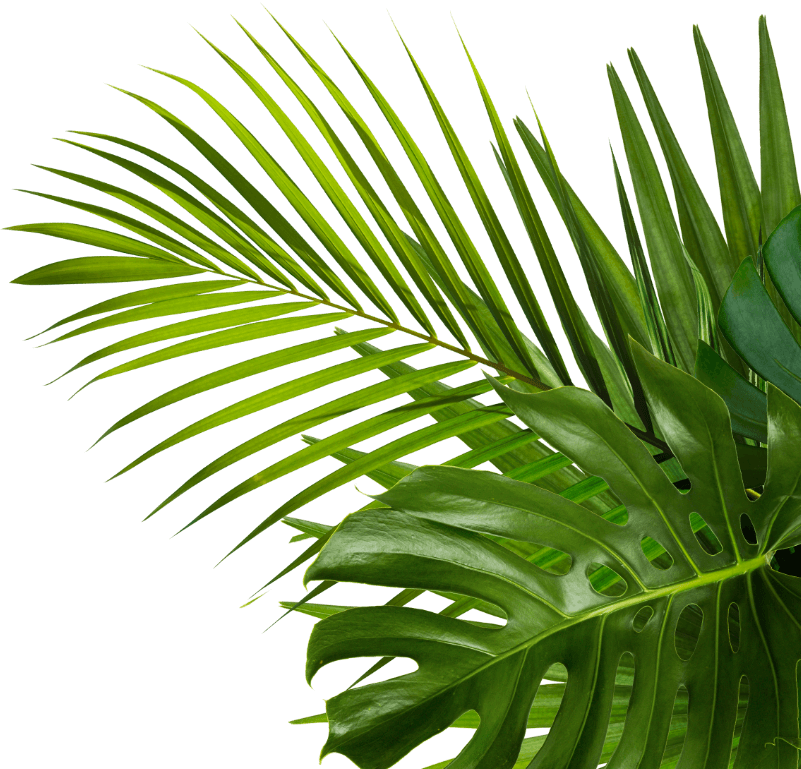 Игровое Квест-Шоу \"Остров Дискавери\"