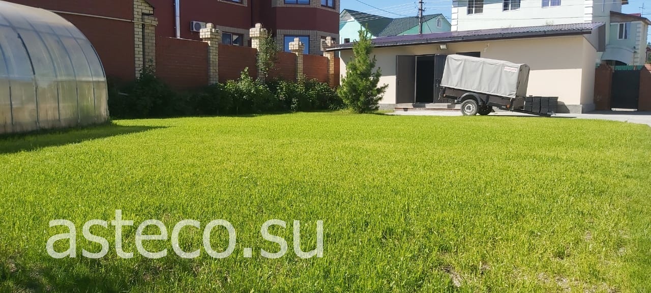 Жидкий газон (64 фото): гидропосев газонной травы своими руками, состав наливного газона, пошаговая инструкция, отзывы