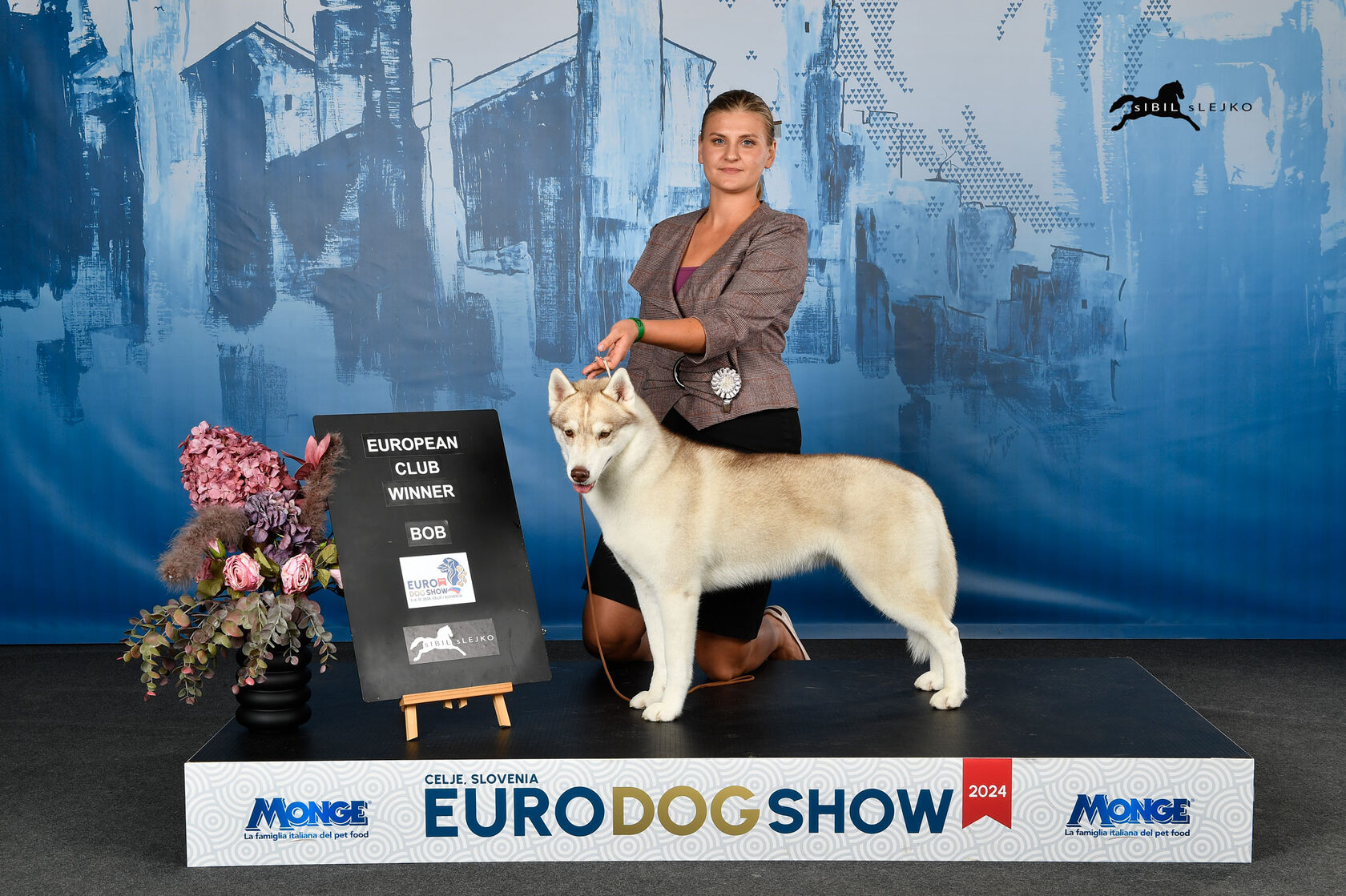 Siberian husky Hakuna Vota Yosemite European Club Winner 2024