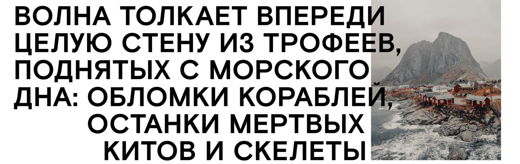 Времена моря: Как мы ловили акулу на Лофотенских островах