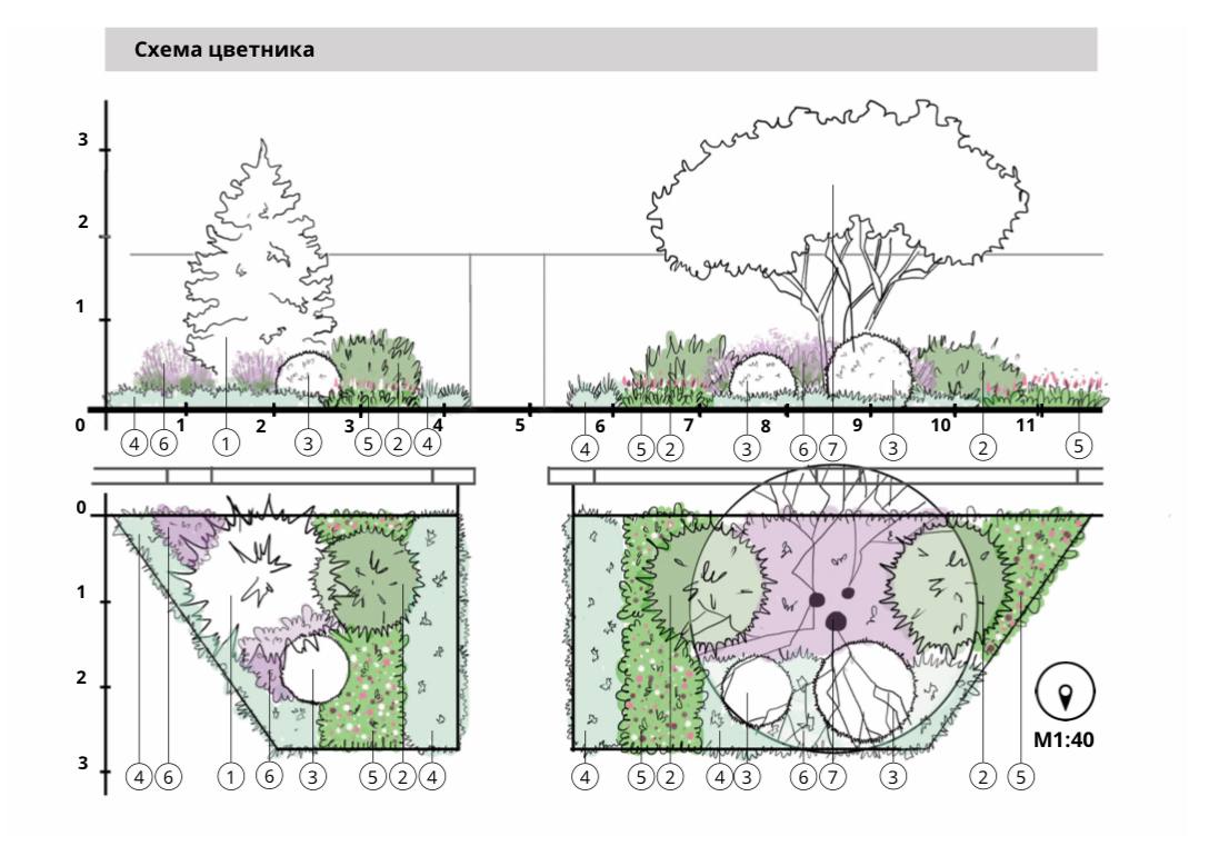 Схема цветника у забора