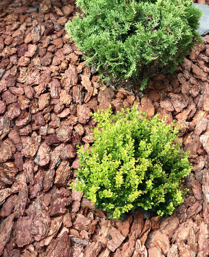 Кора лиственницы 60 л во Владимире и Владимирской области: купить с ...