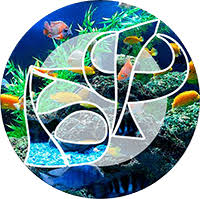 Школа аквариумистики